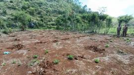 Lurah Tepus Tinjau Calon Lokasi Lapangan Sepakbola dan Rencana Pelebaran Jalan ke Surya Silver